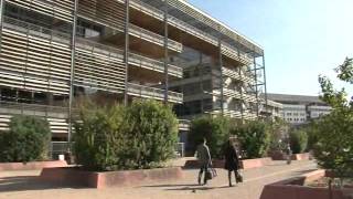 Французский университет Монпелье (Universite Montpellier) Французский университет Монпелье (Universite Montpellier)
