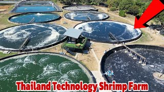 How to Start a Shrimp Farm using Thailand Technology and Super Intensive