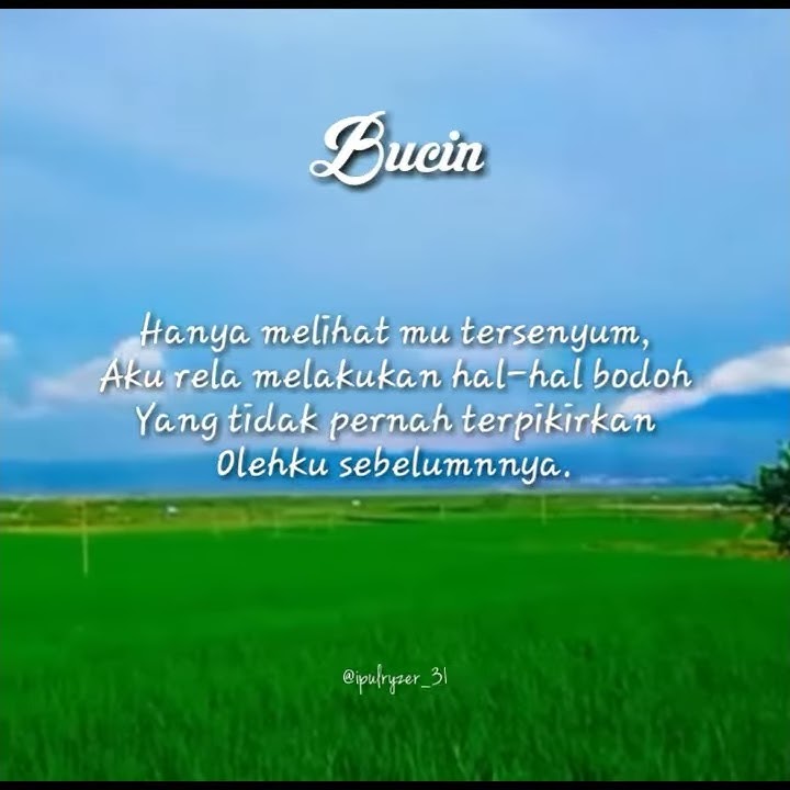 Story wa Bucin,rela berperilaku.bodoh demi dia senang