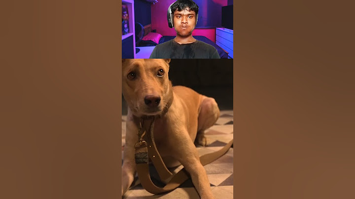 Humans vs Dogs| Kuldeep Singhaniaa#shorts#shots #video