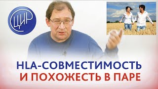 HLA-совместимость и похожесть в паре. Как наследуются HLA-гены. Гузов И.И.