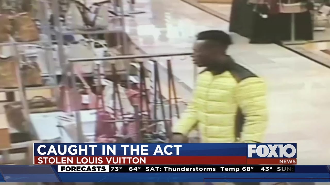 More than $17,000 worth of Louis Vuitton purses stolen at Sawgrass Mills  Mall 