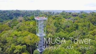 DJI Mavic Flying over Amazon Rainforest