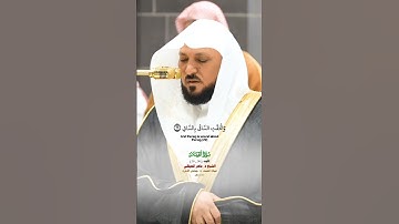 كلا اذا بلغت التراقي_سورة القيامة صلاة العشاء 14 جماد الآخره 1446هـ_فضيلة د.ماهر المعيقلي_#quran