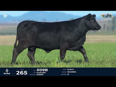LOTE 265   TAT 009B F Ultrablack