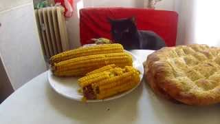 :D My cat is a corn thief :D    | Мой кот кукурузный воришка