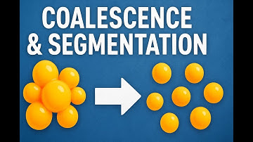 Coalescence and Segmentation - Exilelord Clone Hero run