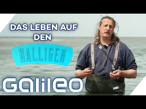 Video: Inseln Im Norden Der Welt - Alternative Ansicht