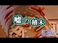 噓の積木 沢井 明 /coverちーさん