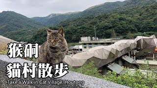 猴硐貓村散步~ 新北市瑞芳區(Houtong Cat Village) 