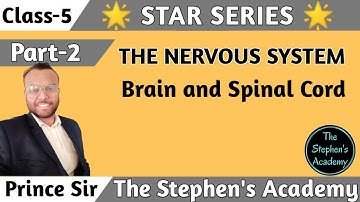 Brain and Spinal Cord | Class 5 | The Nervous System | Science By Prince Sir |