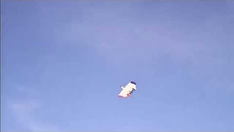 RC nutball scratch built plane