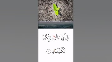 سورة الرحمن بصوت الشيخ ماهر المعيقلي