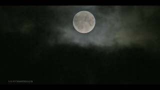 Full Moon -- Friday The 13th. (September 13th, 2019)
