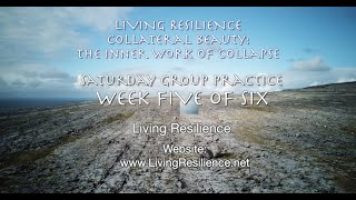 Collateral Beauty: The Inner Work of Collapse - Saturday Live Group Practice Session 5 - MAY 4 2024