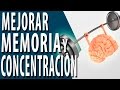 Cómo mejorar la memoria y la concentración | Consejos prácticos para mejorar tu capacidad derebral