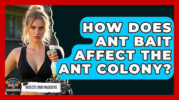 How Does Ant Bait Affect The Ant Colony? - Insects and Invaders
