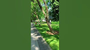 University of British Columbia (UBC)#UBC#Vancouver#Canada#university campus#campus tour#travel