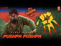 Pushpa pushpa song music  allu arjun  pushpa 2 the rule  new song update