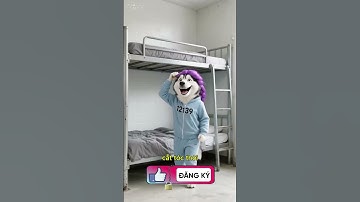 Chó đội tóc giả đòi kem và cái kết bị dí tông đơ 😱✂️ #funny #gàcon #hài #chó #shorts