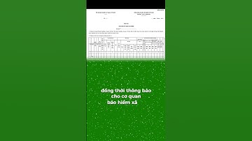 DOANH NGHIỆP LƯU Ý! SẮP ĐẾN HẠN NỘP BÁO CÁO LAO ĐỘNG CUỐI NĂM 2025