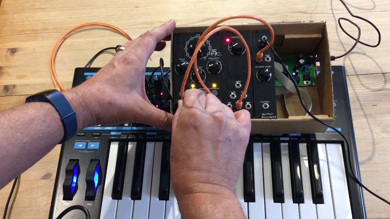 Erica Synths DIY Delay YouTube