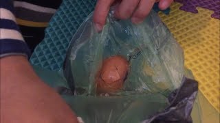 Egg Drop Experiment