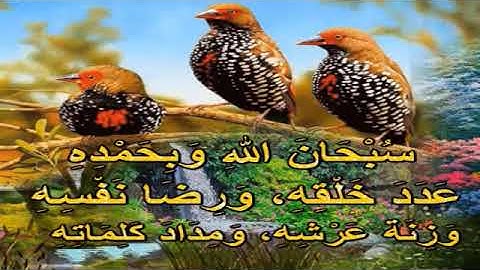 ما تيسر من الذكر الحكيم  سورة البقرة  الشيخ محمد المحيسني