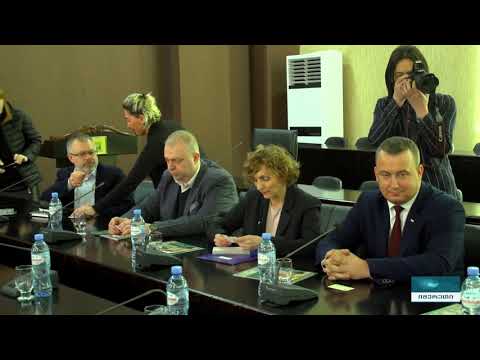 იმერეთში სახელმწიფო რწმუნებულმა პოლონეთის ელჩი მიიღო