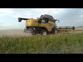 New Holland cx 8.80 уборка пшеницы