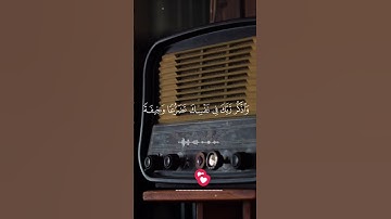 #تلاوة_هادئة للقرأن الكريم🍁القرأن راحه القلوب ةالعقول #القرآن_الكريم #تلاوة_خاشعة #اكسبلور #قرآن