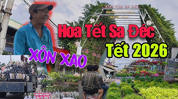 Làng Hoa Sa Đéc Tết 2026 Festival lần 2 | Cuộc Chạy Đua Chuẩn Bị Mùa Hoa Lớn Nhất Năm Ở Đồng Tháp