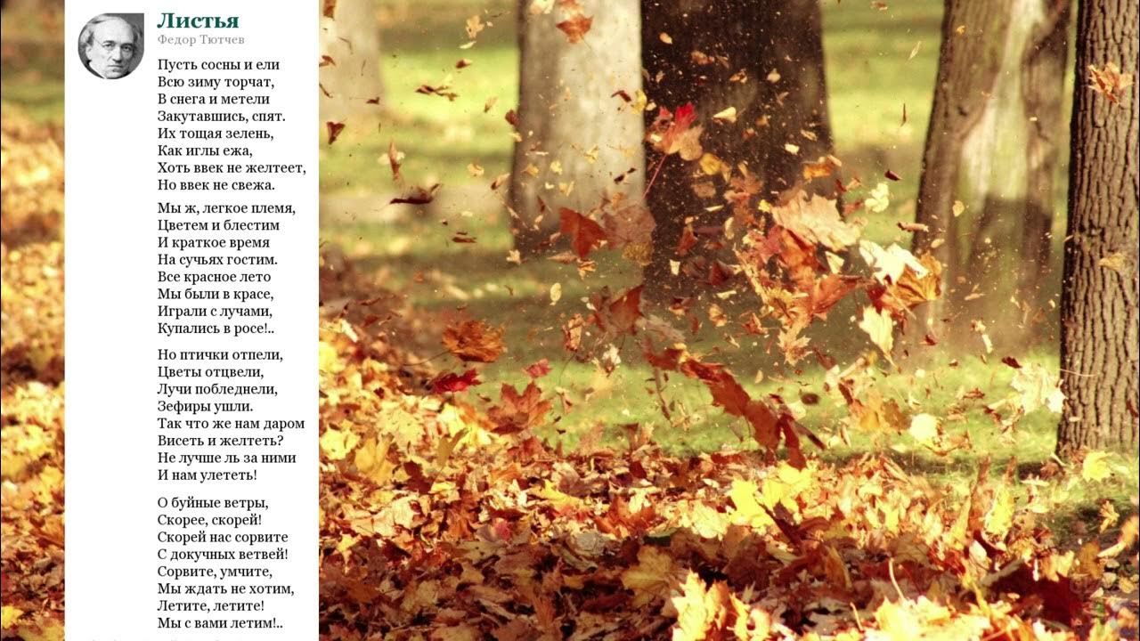 Тест тютчев листья 3 класс. Тест тютчев листья 3 класс