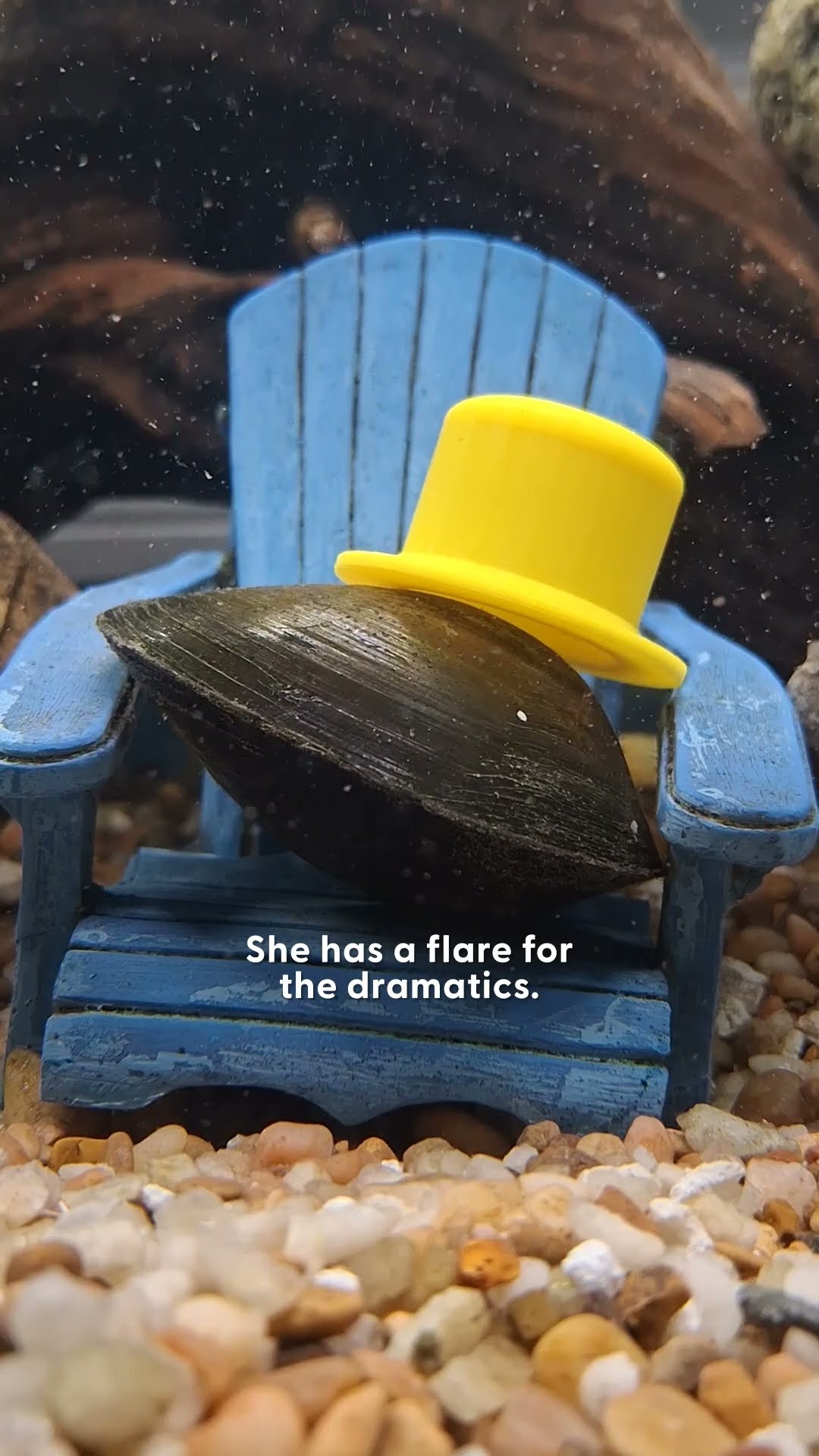 Dodo Producer Interviews Maurice The Clam And His 'Unique' Family | The Dodo