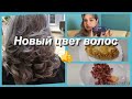 Влог из России,в парихмахерской,что сделала,цена?шикарный цвет,отличная,стрижка,подарок парикмахера