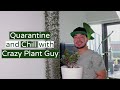 Repotting Jade and Syngonium Houseplants | Q&A with Crazy Plant Guy