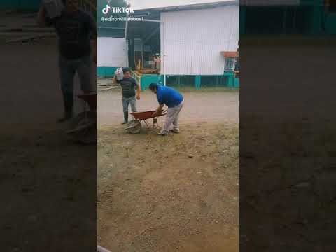 ناس اغبياء