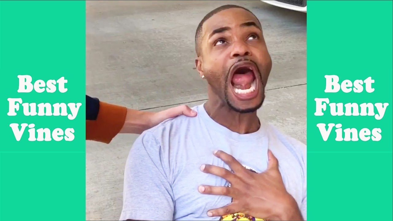 Download Funny King Bach Compilation 2020 (W/Titles) Best King Bach Vine Videos 2020