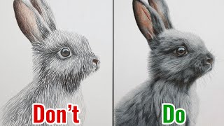 Dos And Don'ts Of Drawing Fur