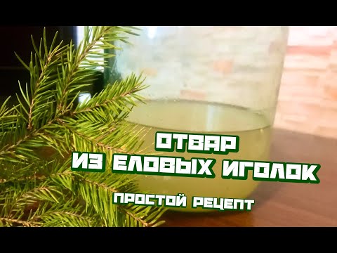 Отвар из еловых иголок для профилактики иммунитета