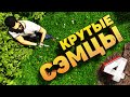 Убей друга если сможешь "Много багов, фейлы, игровые приколы" (Serious sam 4)