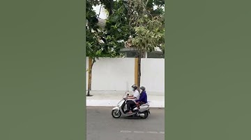 Không nên làm hàng rào kín | Nam Review #shorts