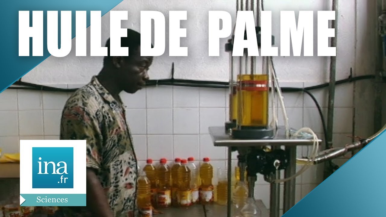 Huile De Palme "Mayanga Noire" - Soin 100% Naturel Pour Cheveux Et Peau, 30ml, Bio, Cameroun