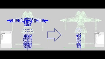 How to Separate the Mesh by using MDLVIS