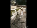Ш ЫЊШ Ш Щ рџ рџ ЪЇЫЊЩ Ш Щ рџЊірџЊірџЊіЩ Ш Щ ЫЊШ Ш Щ рџЊ рџЊ Ш ЫЊШ Ш Щ рџ рџ ЪЇЫЊЩ Ш Щ рџЊірџЊірџЊіЩ Ш Щ ЫЊШ Ш Щ рџЊ рџЊ