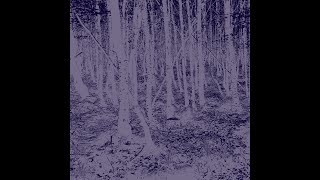 Sweet Nothings Music Video