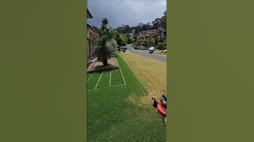 The art of lawn scalping 🎶 Cutting the home putting green back to dirt!