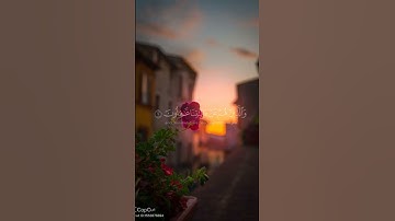 احمد العجمي #قرآن #اكسبلور #المصحف #تلاوة_خاشعة #دويتو #احمد_العجمي