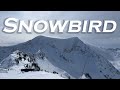 Ski at Snowbird | From Mineral Basin to Peruvian Gulch