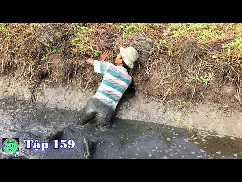 mò hang bắt cá rô mề và cá lóc đã thật | fishing | NGÃ NĂM TV Tập 159 mò hang bắt cá rô mề và cá lóc đã thật | fishing | NGÃ NĂM TV Tập 159